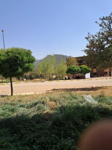 مجتمع گردشگری لاله