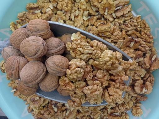 عکس محصولات محلی دامداران بابل 