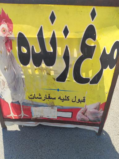 عکس مرغ فروشی