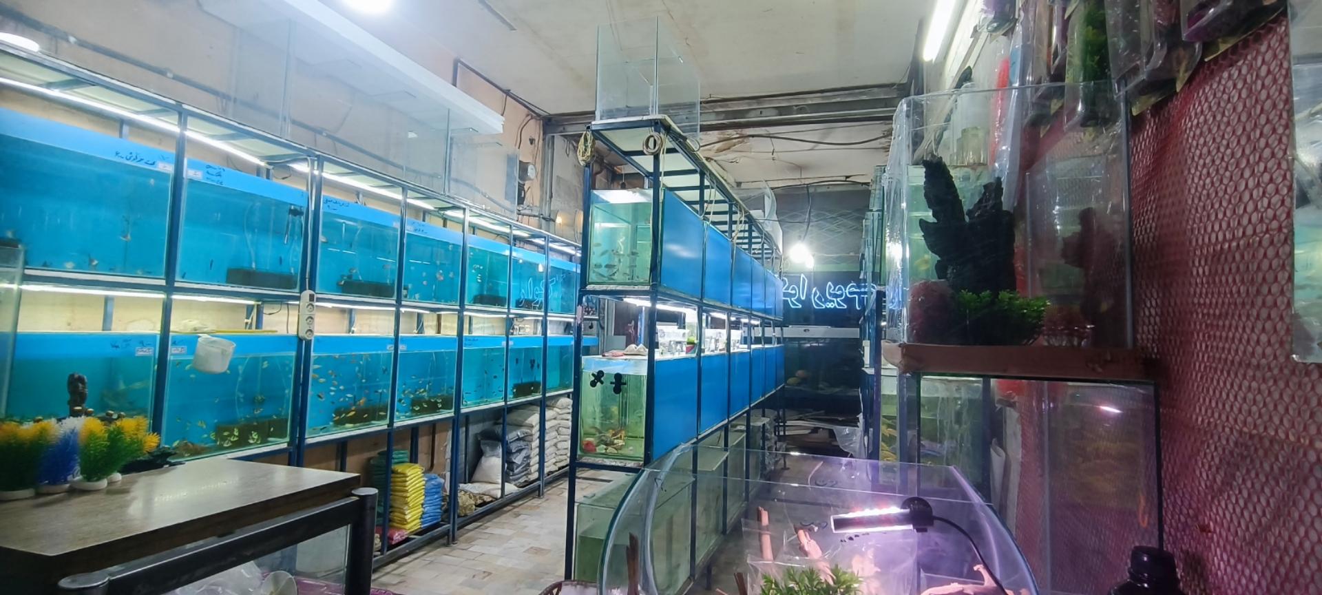 عکس آکواریوم آرمان