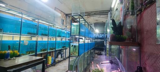 عکس آکواریوم آرمان