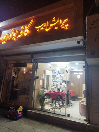 عکس پیرایش ادیب