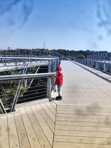 عکس پل طبیعت تهران