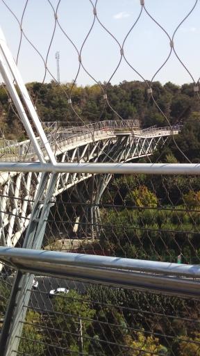 عکس پل طبیعت تهران