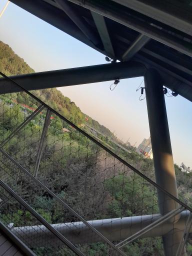 عکس پل طبیعت تهران
