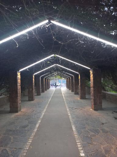 عکس پل طبیعت تهران