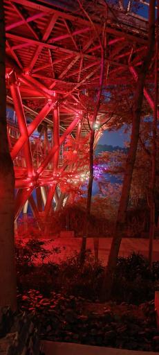 عکس پل طبیعت تهران