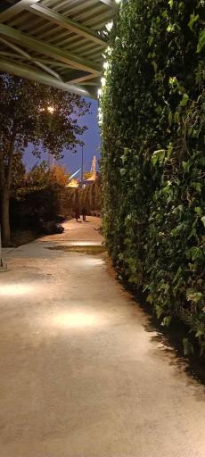 عکس پل طبیعت تهران