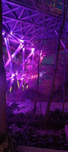 عکس پل طبیعت تهران