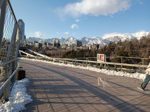 عکس پل طبیعت تهران