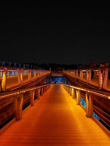 عکس پل طبیعت تهران