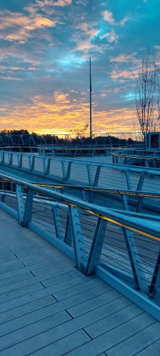 عکس پل طبیعت تهران