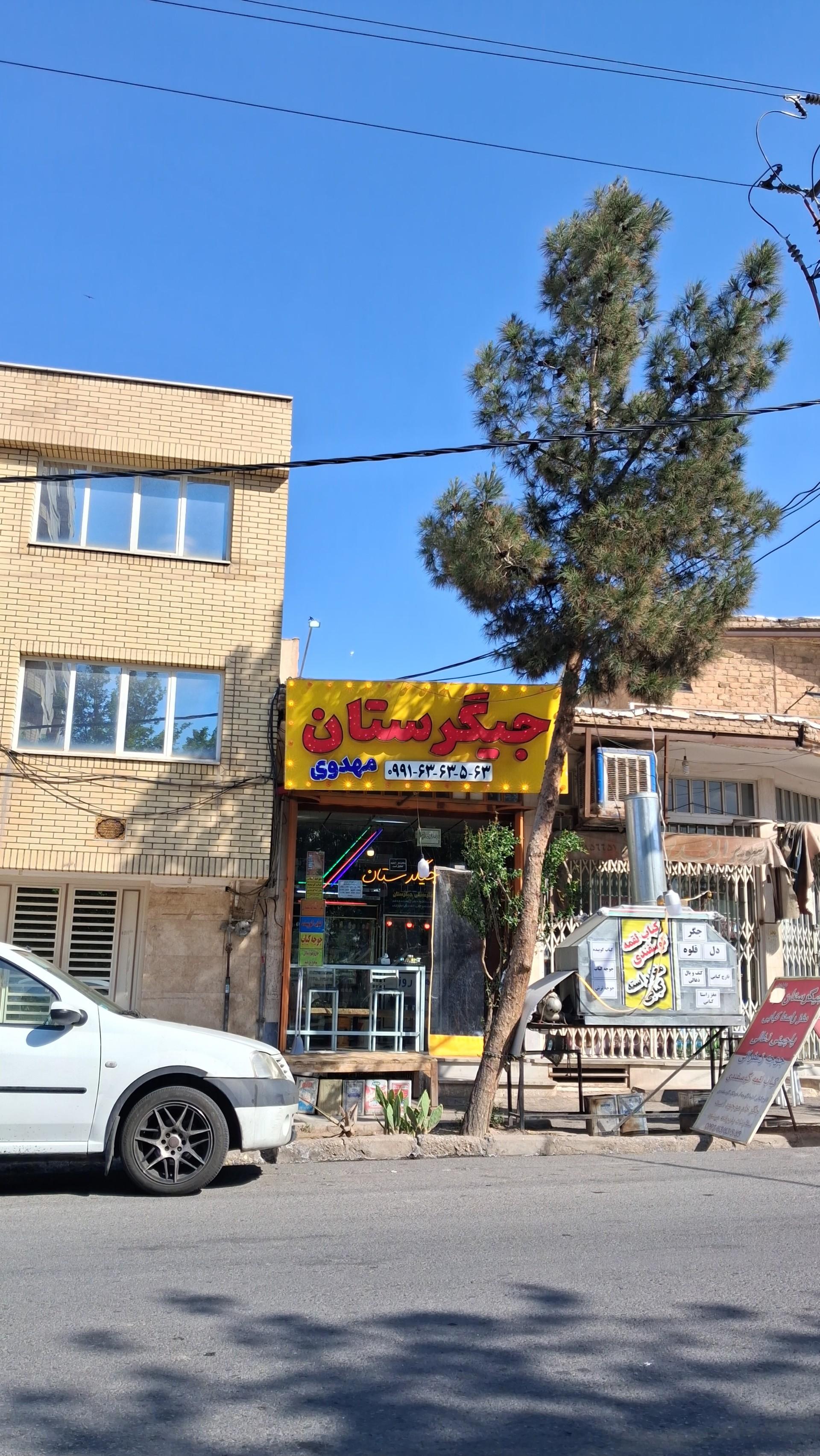 عکس جگرستان مهدوی