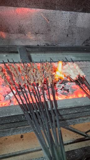 عکس جگرستان مهدوی