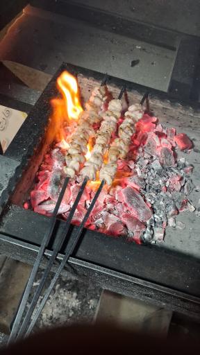 عکس جگرستان مهدوی