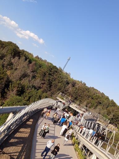 عکس پل طبیعت تهران