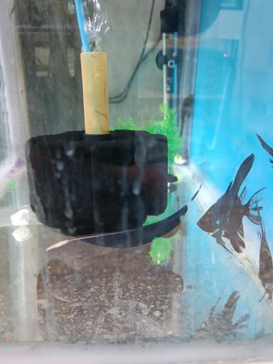 عکس آکواریوم 