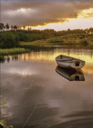 عکس مرداب نشتارود