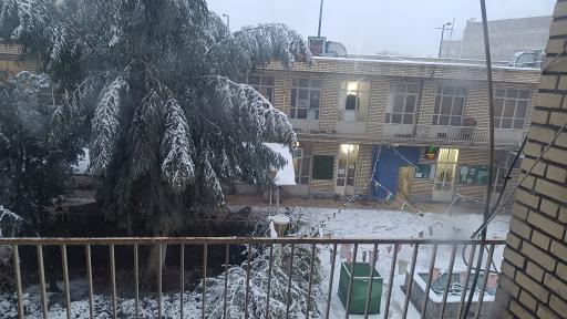 عکس مدرسه علمیه مبارکه رضویه (ع)