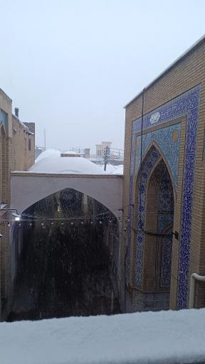 عکس مدرسه علمیه مبارکه رضویه (ع)