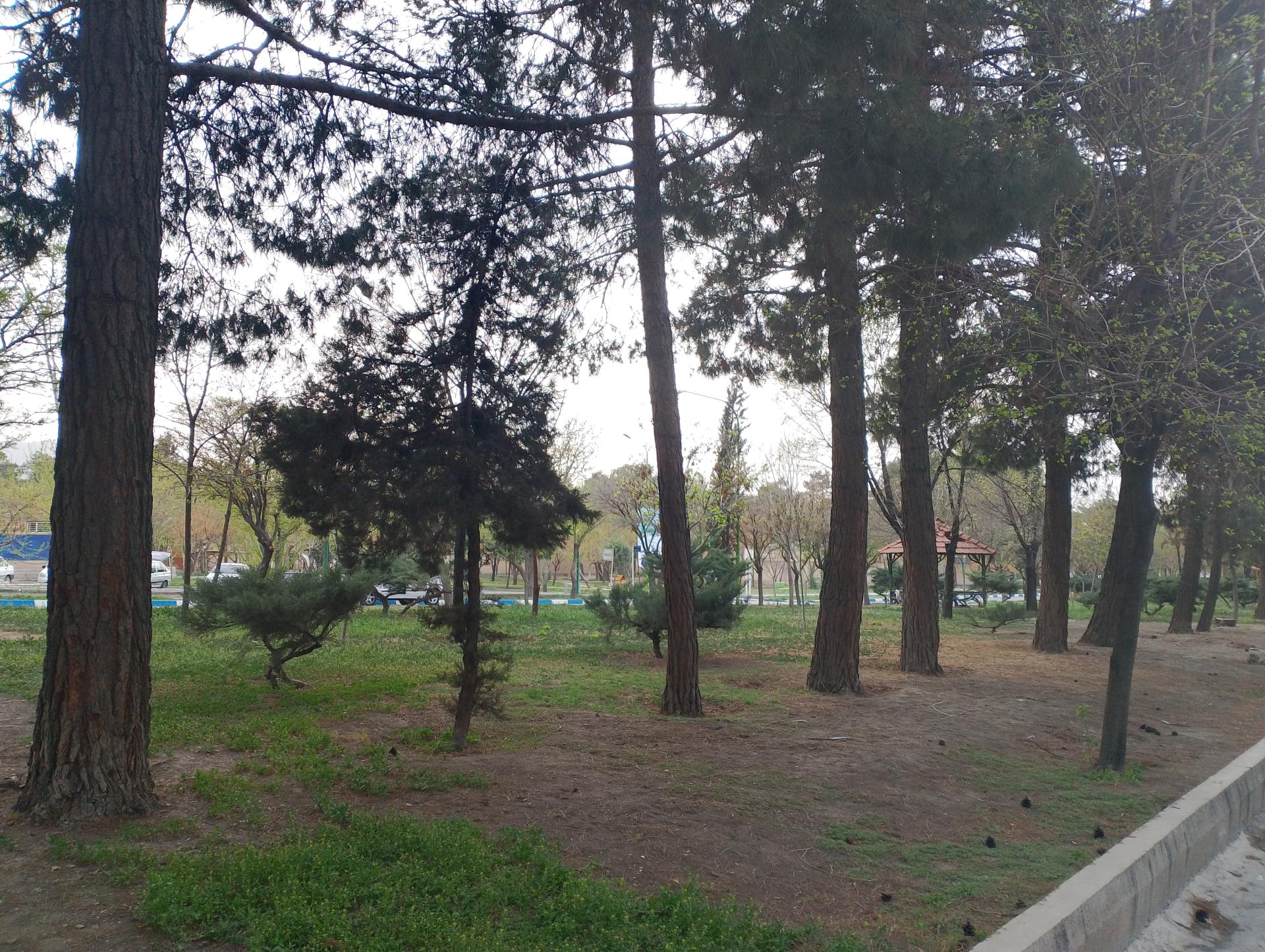 عکس بوستان خلیج فارس