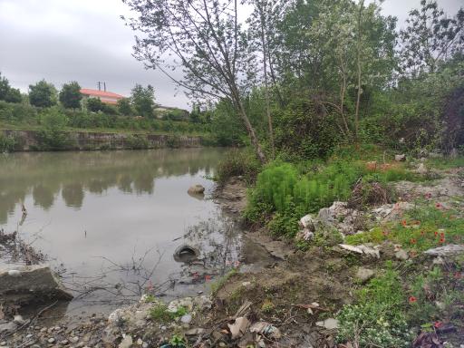 عکس مرداب نشتارود