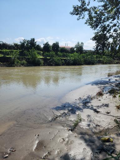 عکس مرداب نشتارود