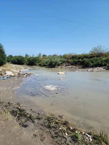 عکس مرداب نشتارود