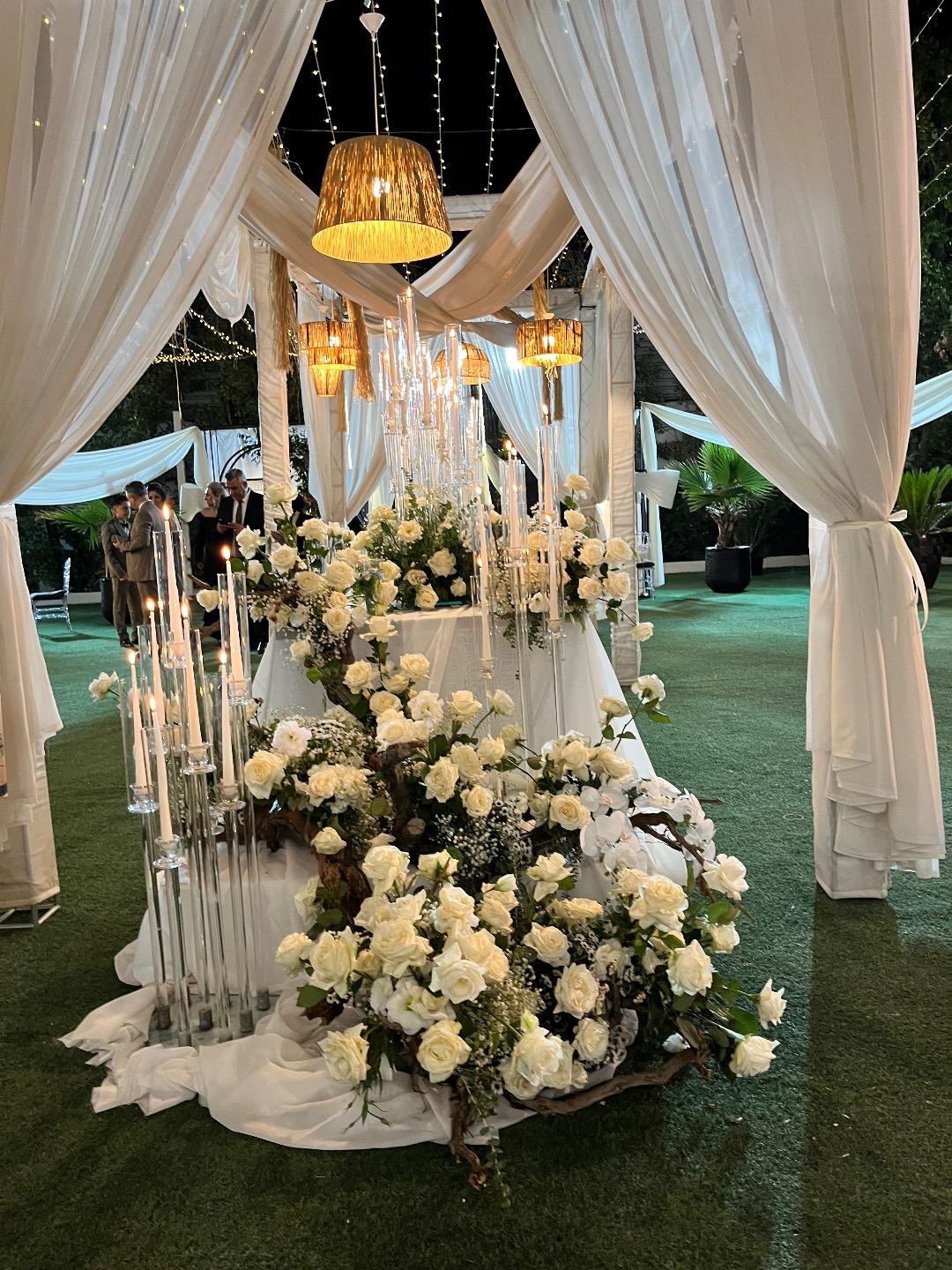 عکس باغ تالار والریا