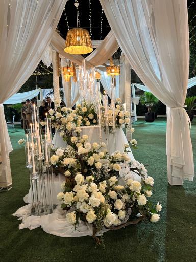 عکس باغ تالار والریا