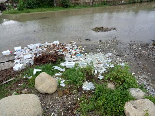 عکس مرداب نشتارود