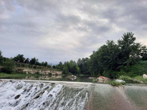 عکس مرداب نشتارود