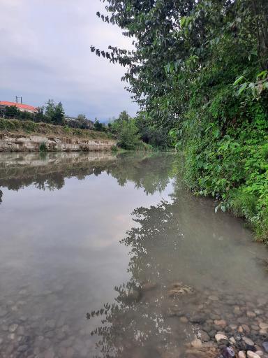 عکس مرداب نشتارود