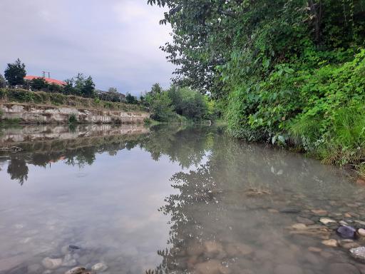 عکس مرداب نشتارود