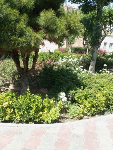 عکس بوستان ری