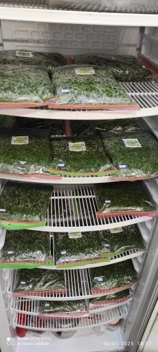 عکس سبزیجات آماده سبزینه 