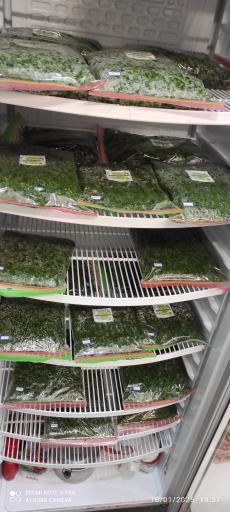 عکس سبزیجات آماده سبزینه 