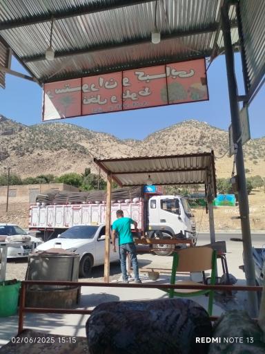 عکس رستوران و کبابی نخل و بلوط 