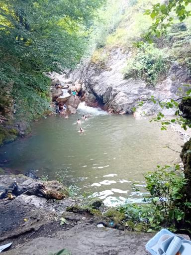 عکس گوشلوندان