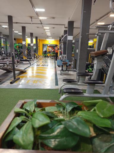 عکس باشگاه بدنسازی عابد
