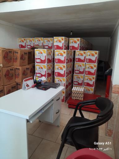 عکس پخش عمده و جزئی تخم مرغ هژبری