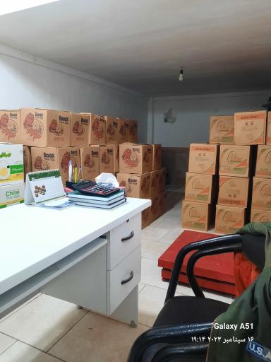 عکس پخش عمده و جزئی تخم مرغ هژبری