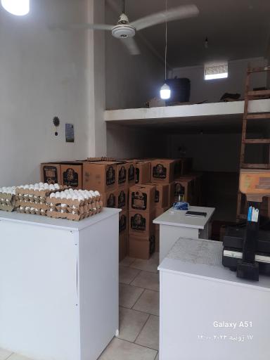 عکس پخش عمده و جزئی تخم مرغ هژبری