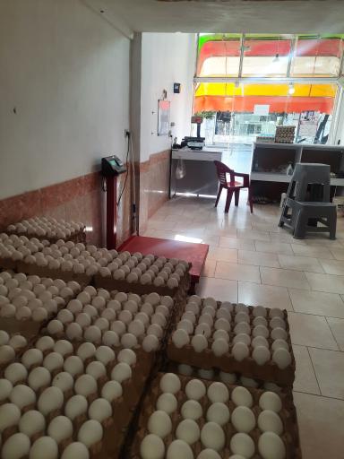 عکس پخش عمده و جزئی تخم مرغ هژبری