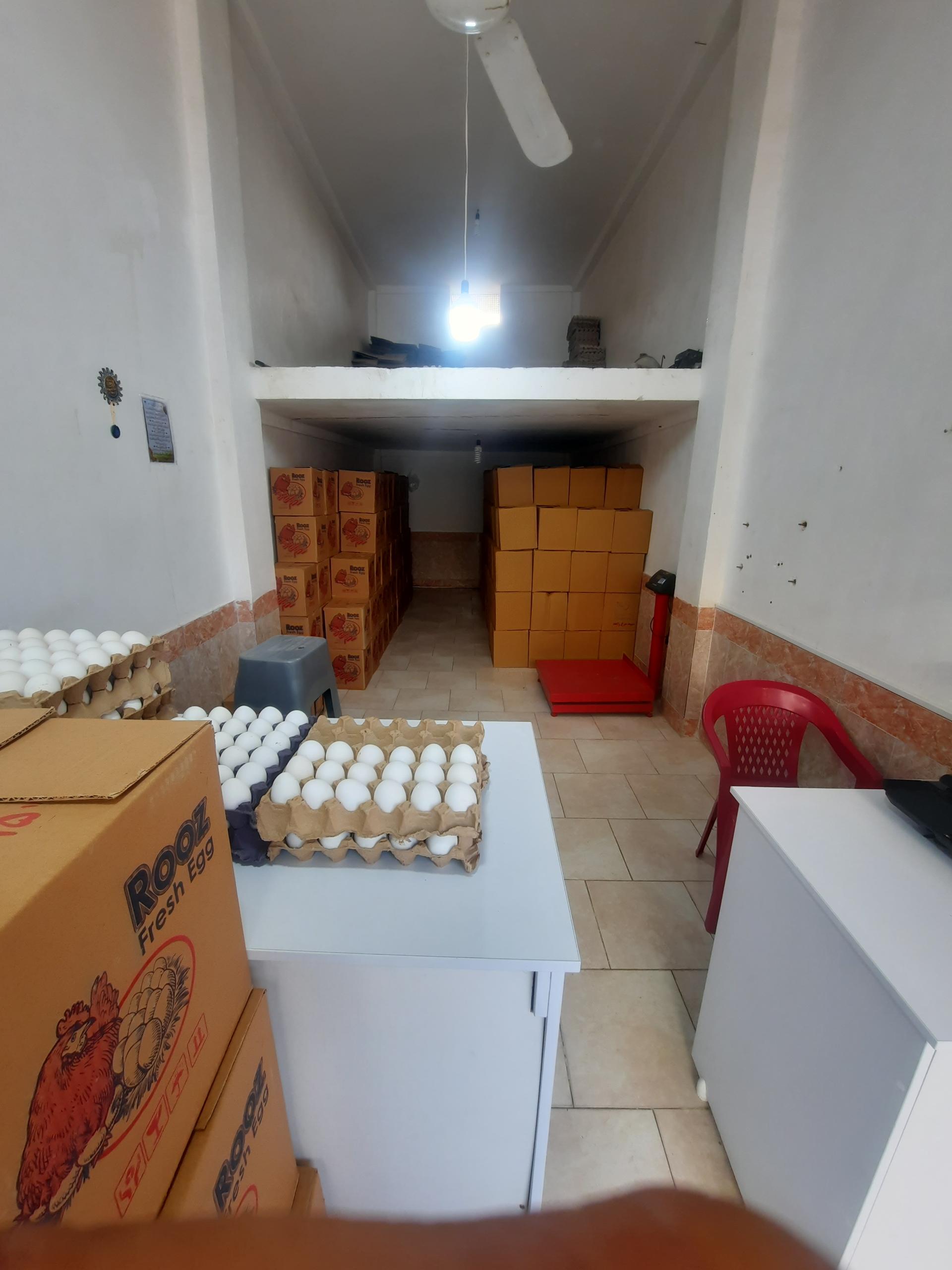 عکس پخش عمده و جزئی تخم مرغ هژبری