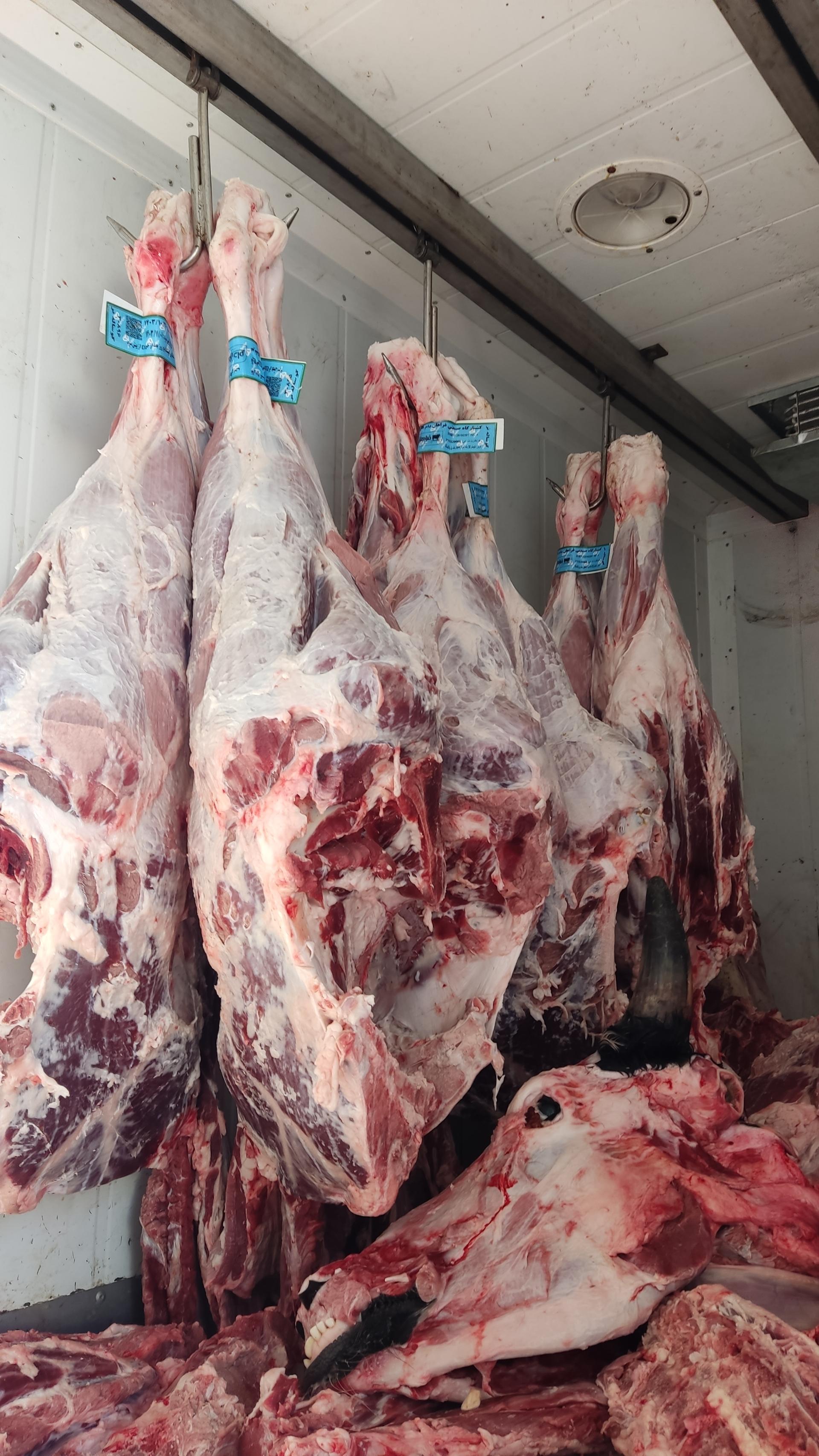 عکس سوپر گوشت میلاد (قصابی شیری)