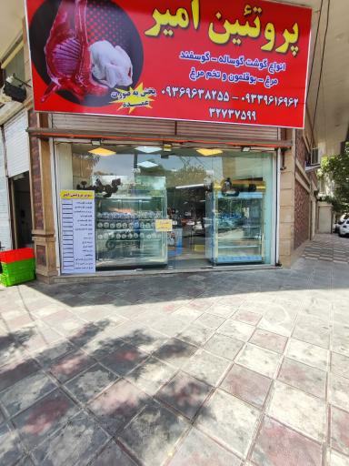 عکس پروتئین امیر