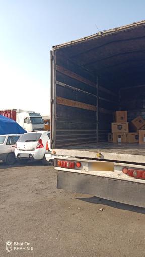 عکس باربری جاوید ترابر