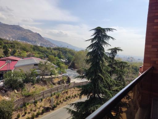 عکس دهکده نشاط