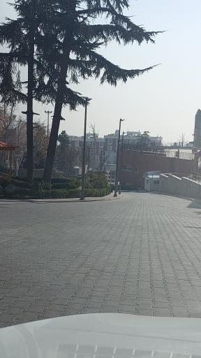 عکس دهکده نشاط